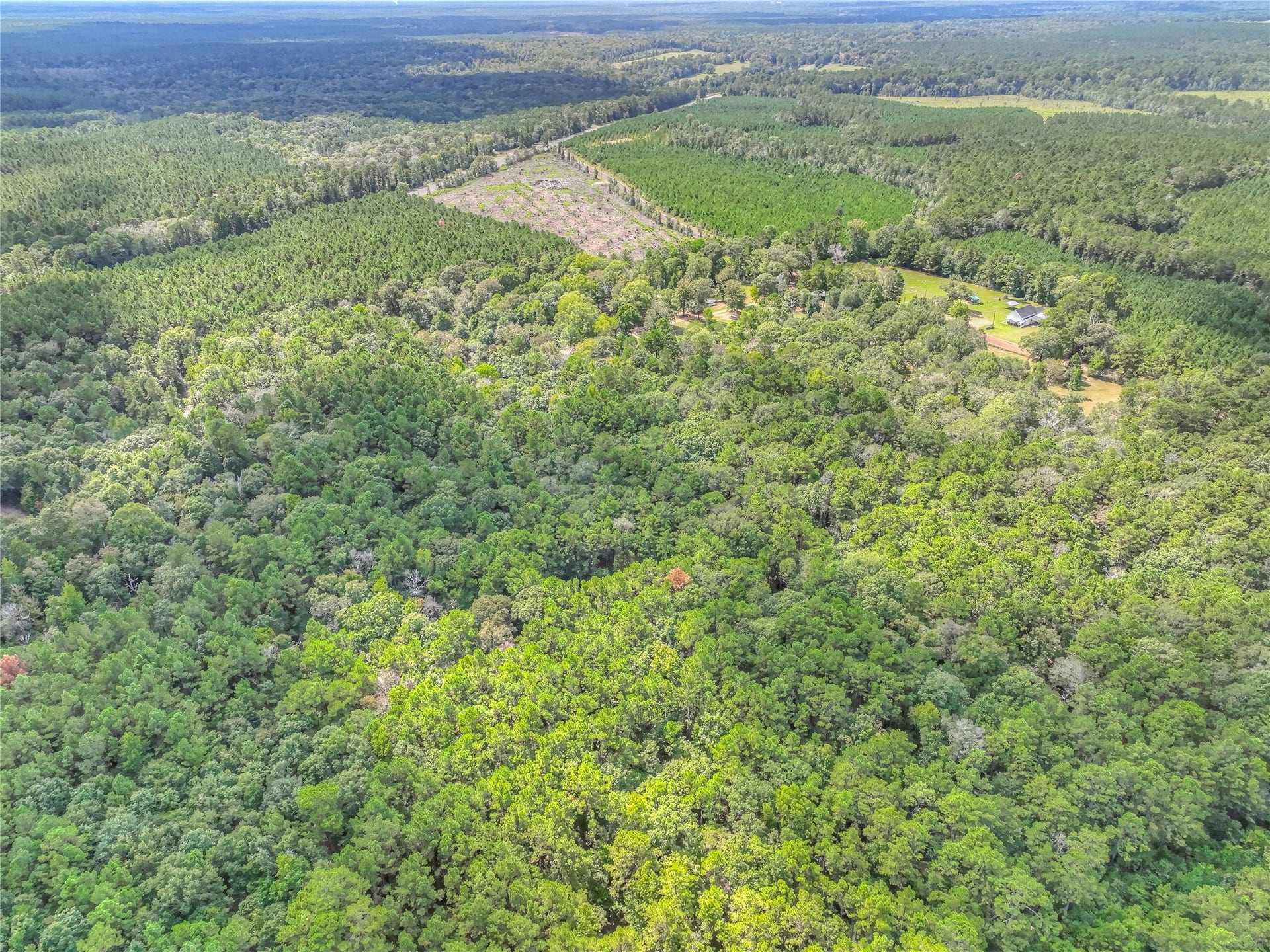 446 County Road 3550, Woodville, TX 75979 446 County Road 3550, Woodville, TX 75979
