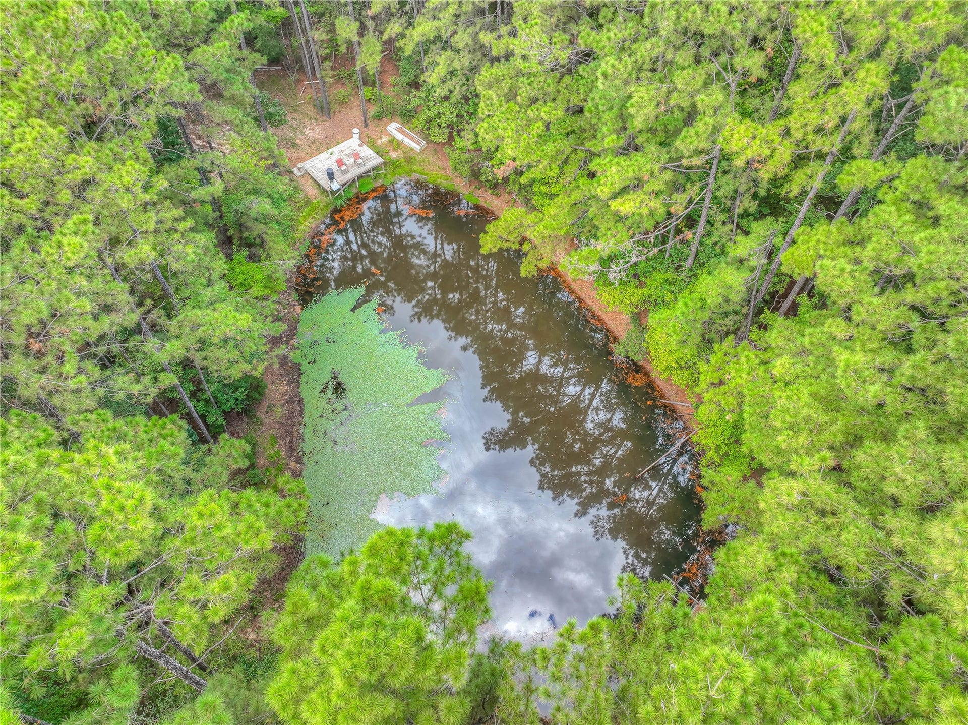 446 County Road 3550, Woodville, TX 75979 446 County Road 3550, Woodville, TX 75979