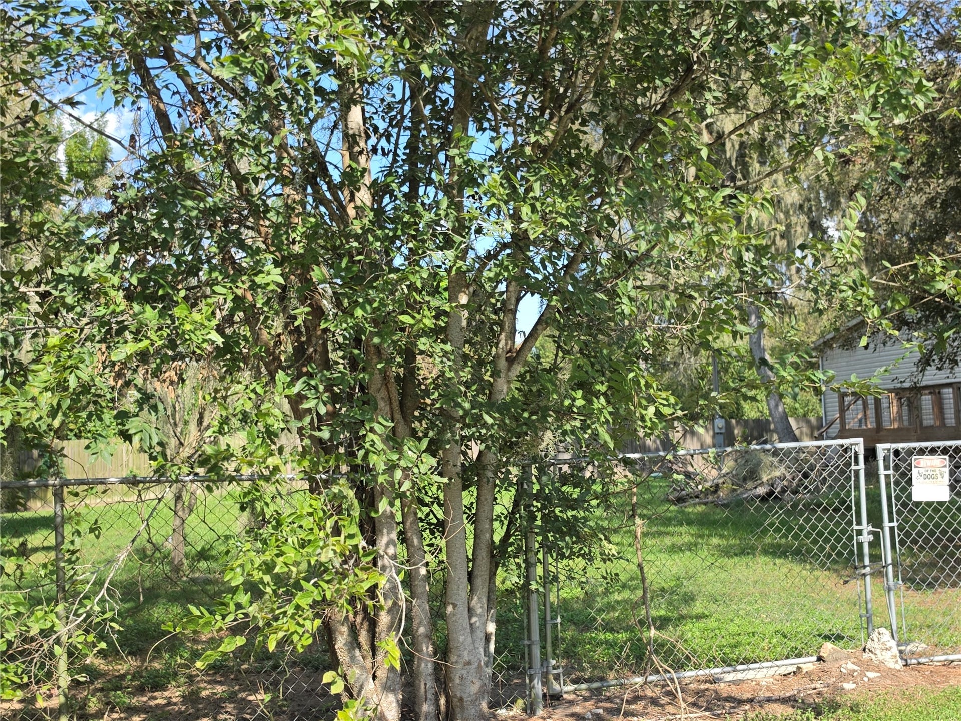 20527 Lake Forest Drive E, Guy, TX 77444