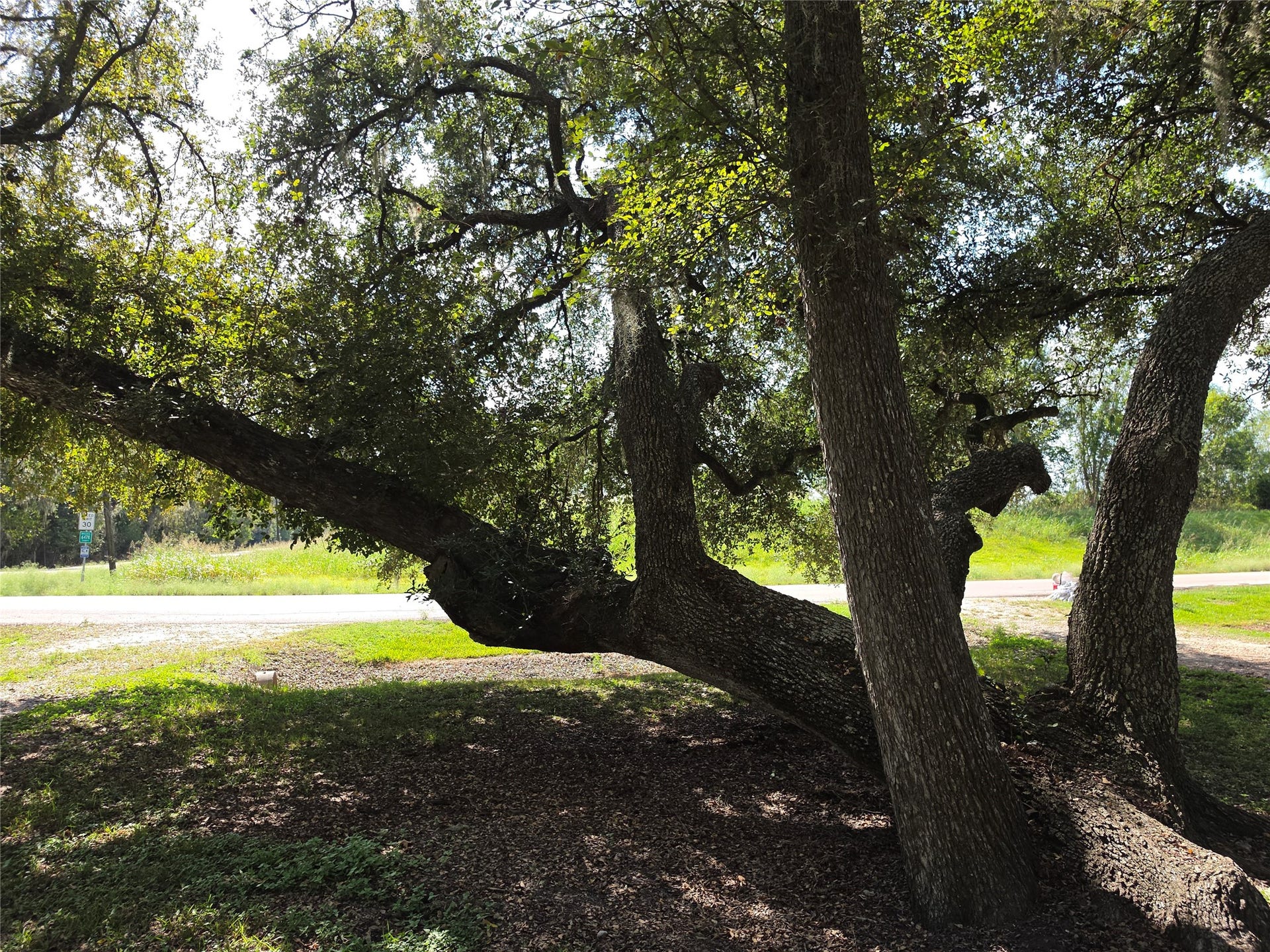 20527 Lake Forest Drive E, Guy, TX 77444