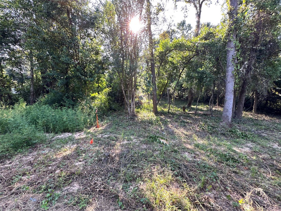 Property photo for 0 Whitehorse Lane, Willis, TX
