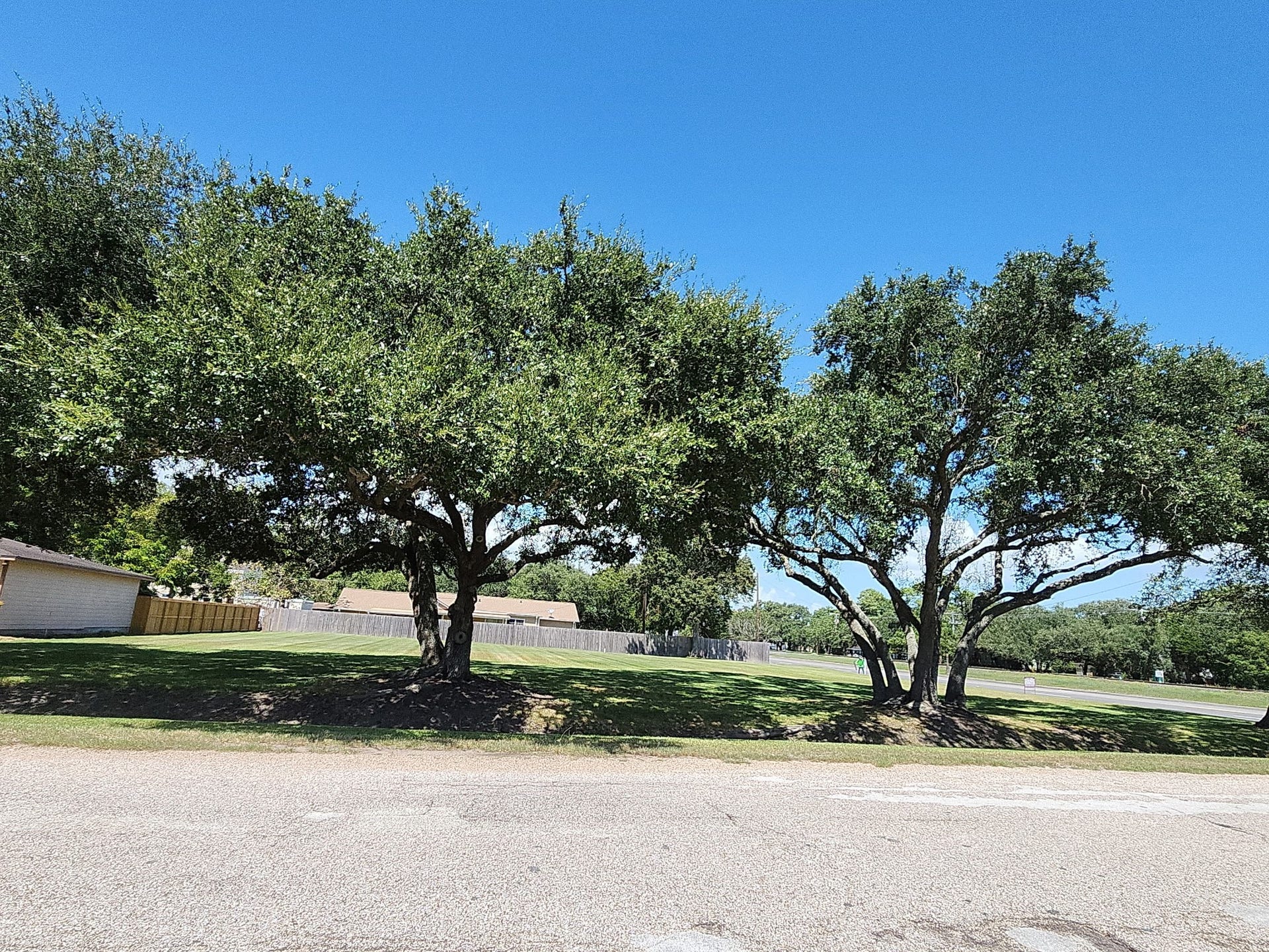 1000 DELMAR, La Marque, TX 77591 Corner view of lot showing beautiful established trees!