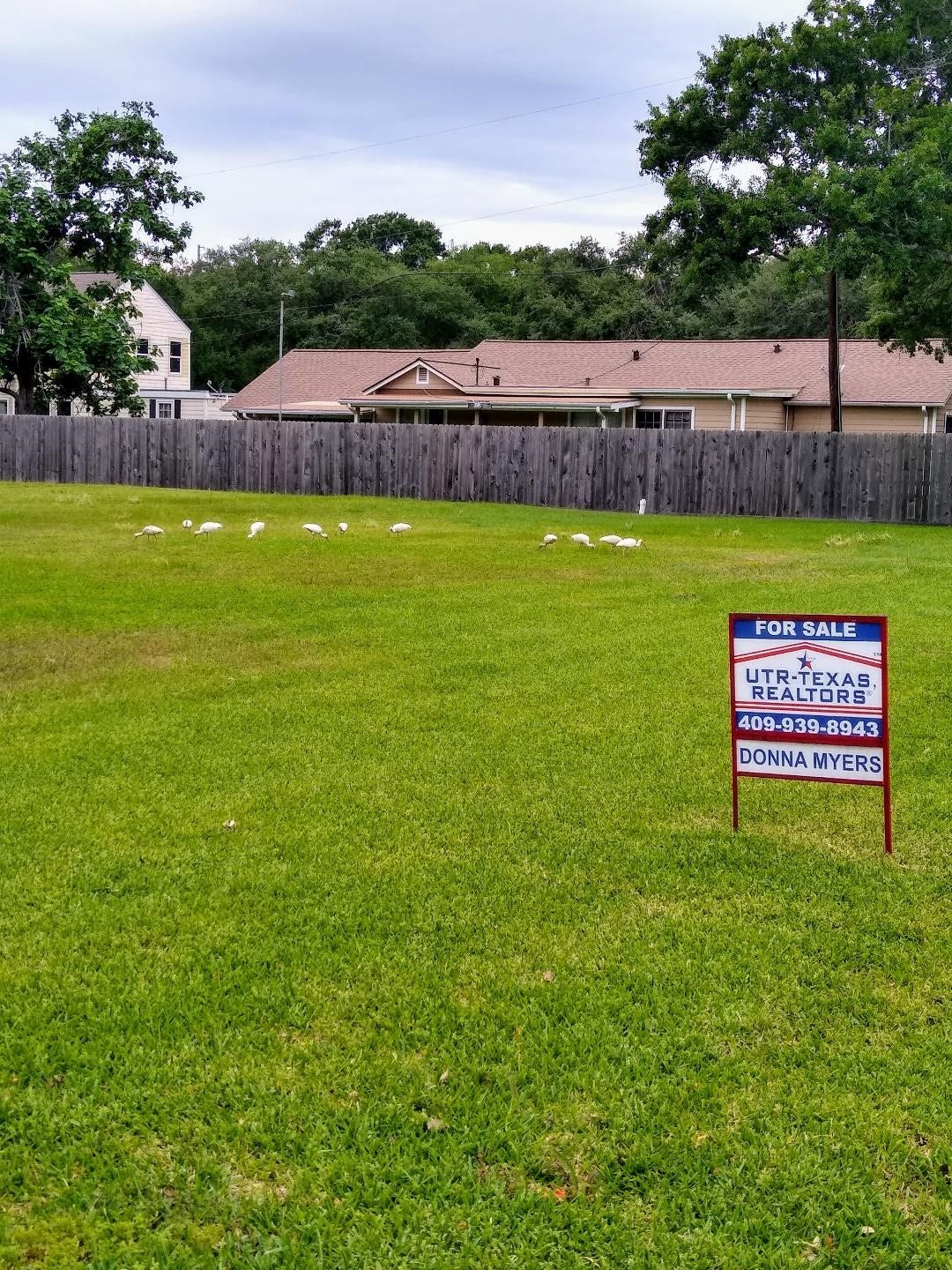 1000 DELMAR, La Marque, TX 77591 YES IT'S FOR SALE!!!