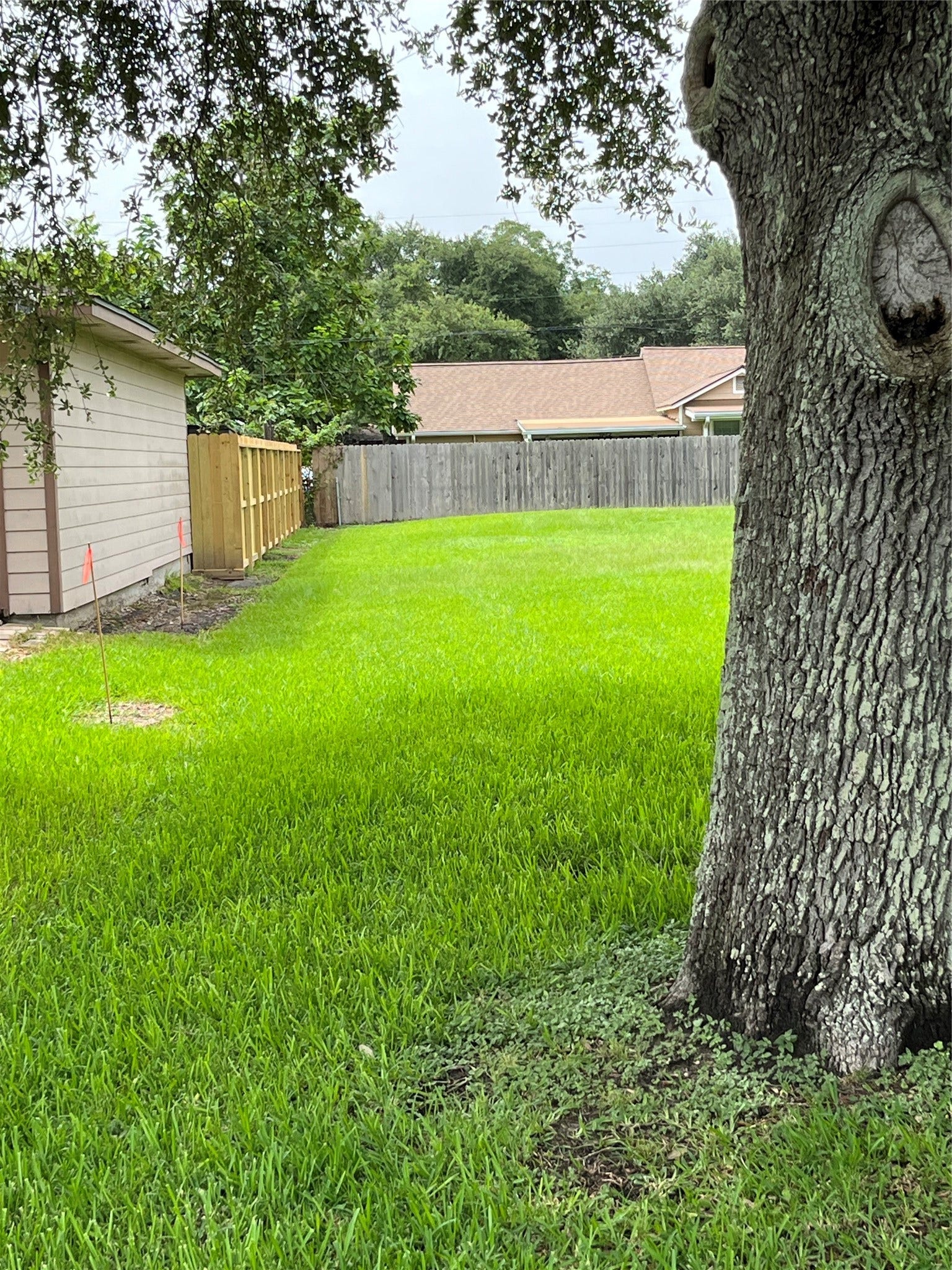 1000 DELMAR, La Marque, TX 77591 1000 DELMAR, La Marque, TX 77591