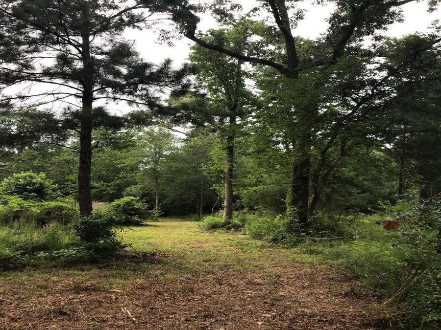 Property photo for 26150 Grand Pines Road, Magnolia, TX