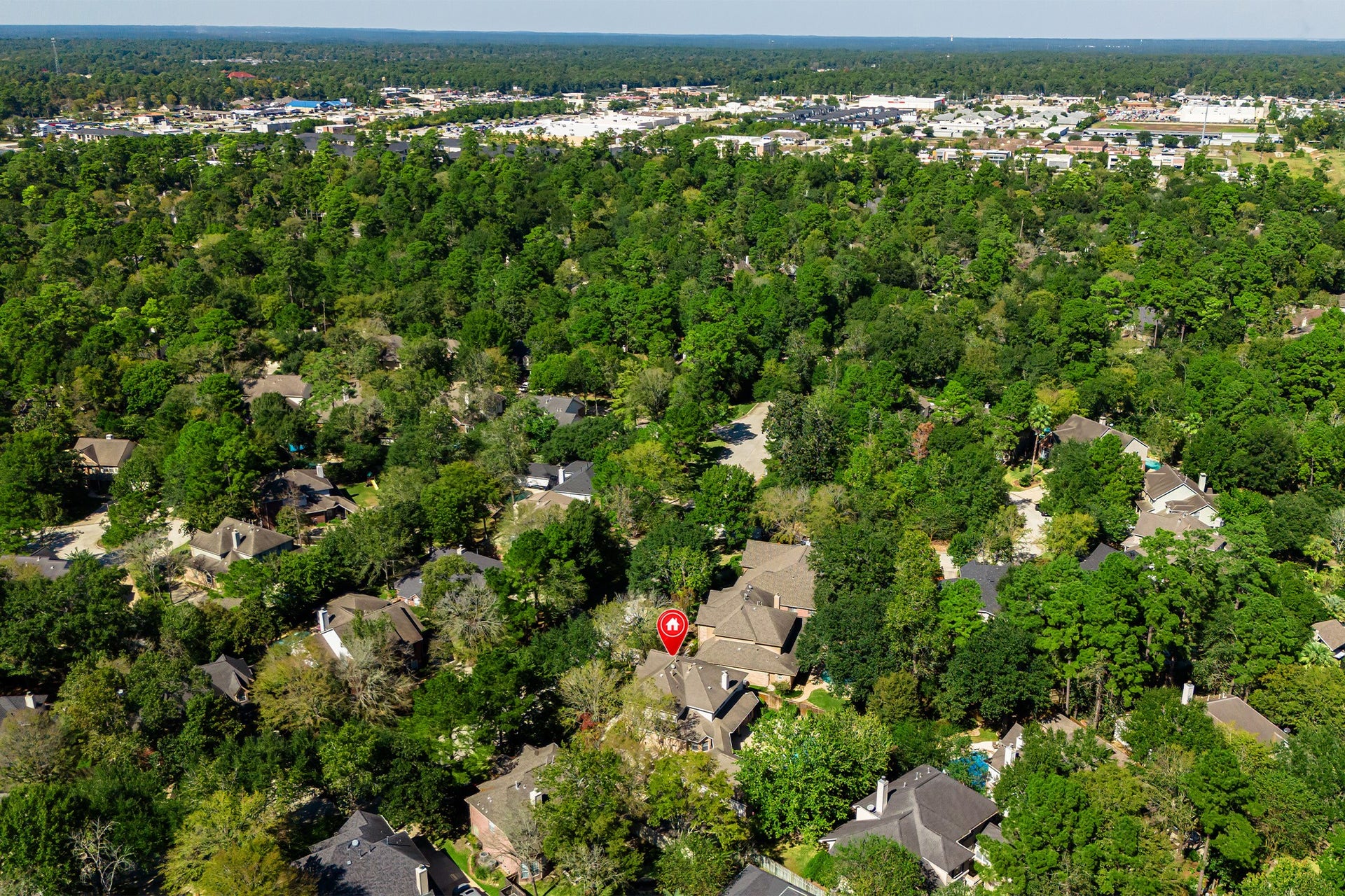 136 S Goldenvine Circle, The Woodlands, TX 77382