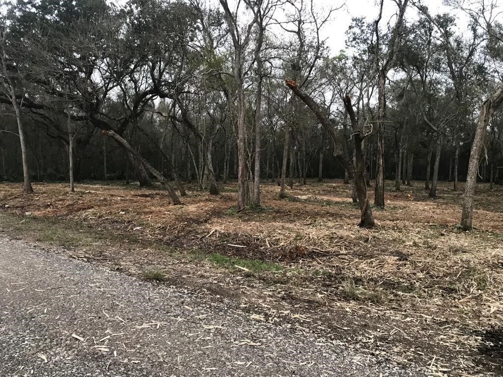 0 County Road 495, Brazoria, TX 77422 0 County Road 495, Brazoria, TX 77422