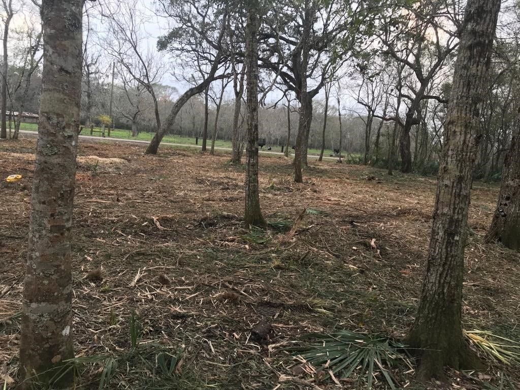 0 County Road 495, Brazoria, TX 77422 0 County Road 495, Brazoria, TX 77422