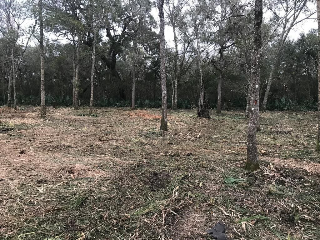 0 County Road 495, Brazoria, TX 77422 0 County Road 495, Brazoria, TX 77422