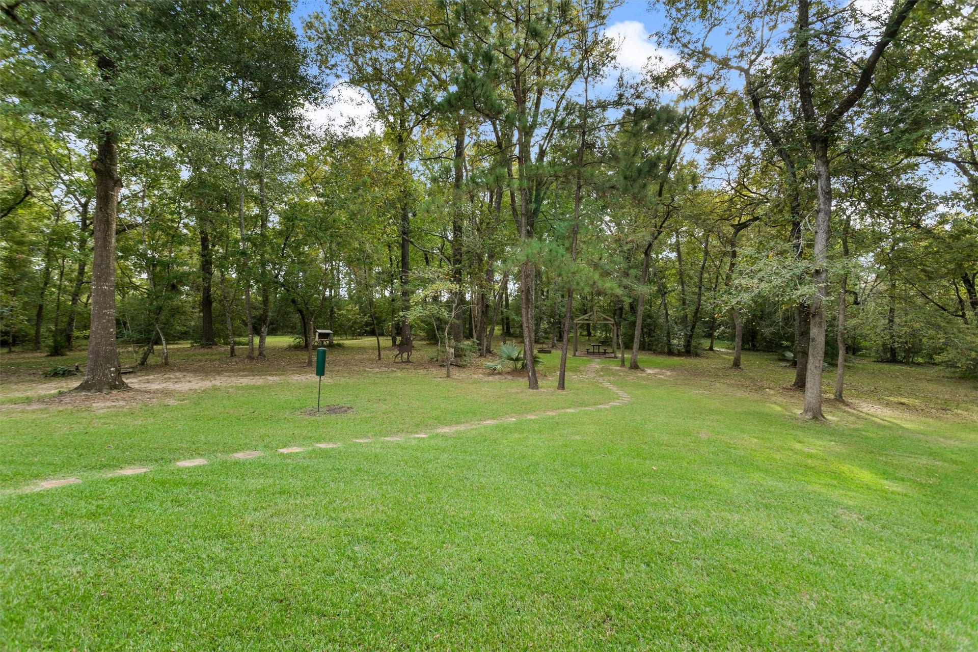 18181 Rabon Chapel Road, Montgomery, TX 77316 Open lawn framed by mature trees