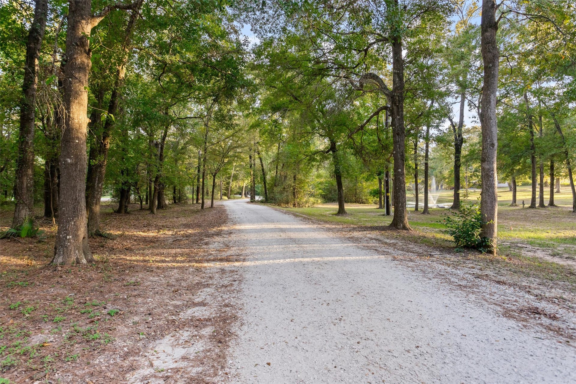 18181 Rabon Chapel Road, Montgomery, TX 77316 A tree-lined drive that feels like a getaway