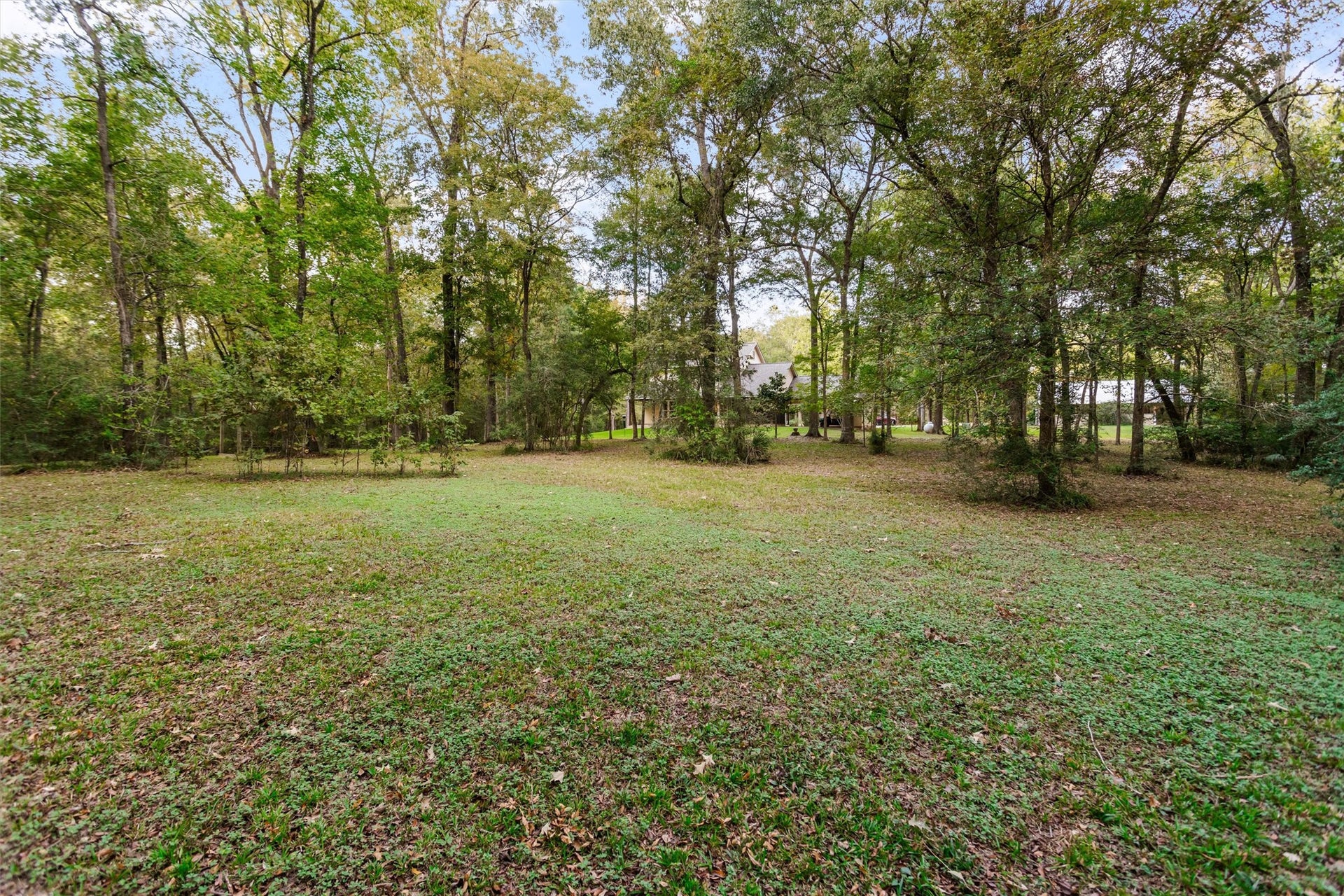 18181 Rabon Chapel Road, Montgomery, TX 77316 Space to roam, ride, or simply enjoy the view