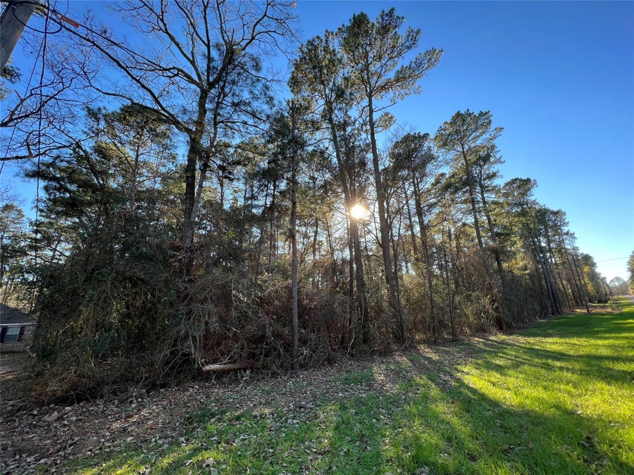 Property photo for 290 Greenbriar Drive, Magnolia, TX