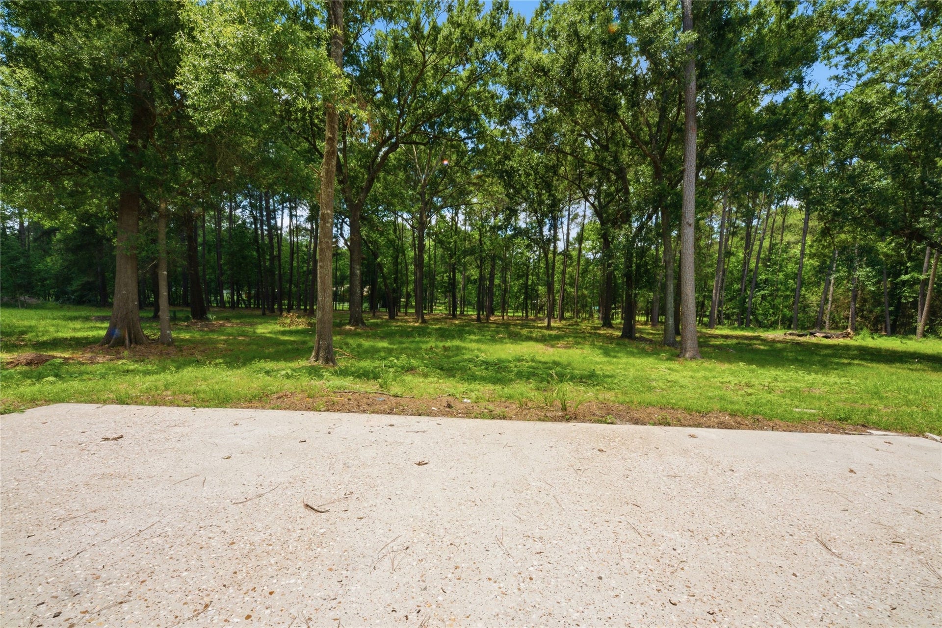 40203 Cimarron Way, Magnolia, TX 77354 Mature wooded section of the 1.67-acre lot showing cleared usable ground, tall pines, and oak trees. Equestrian-friendly per deed restrictions, ample space for paddock, barn, or simple privacy buffer.