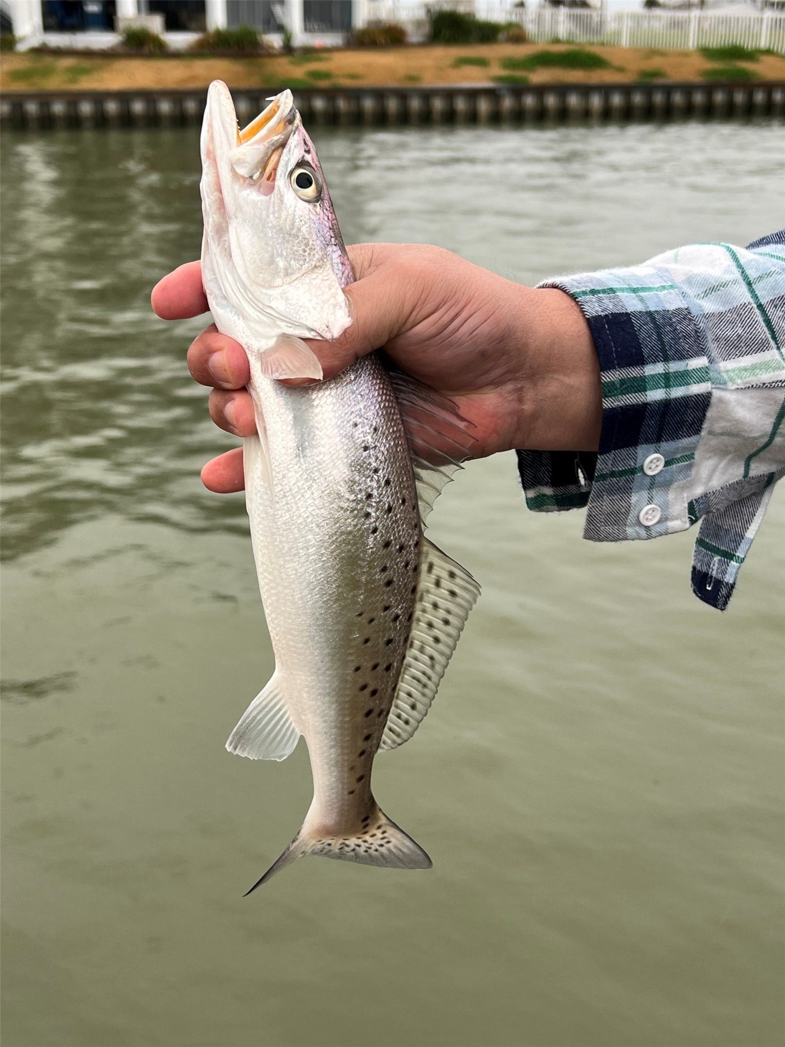3 Happy Jack, Hitchcock, TX 77563 Great fishing from your own backyard