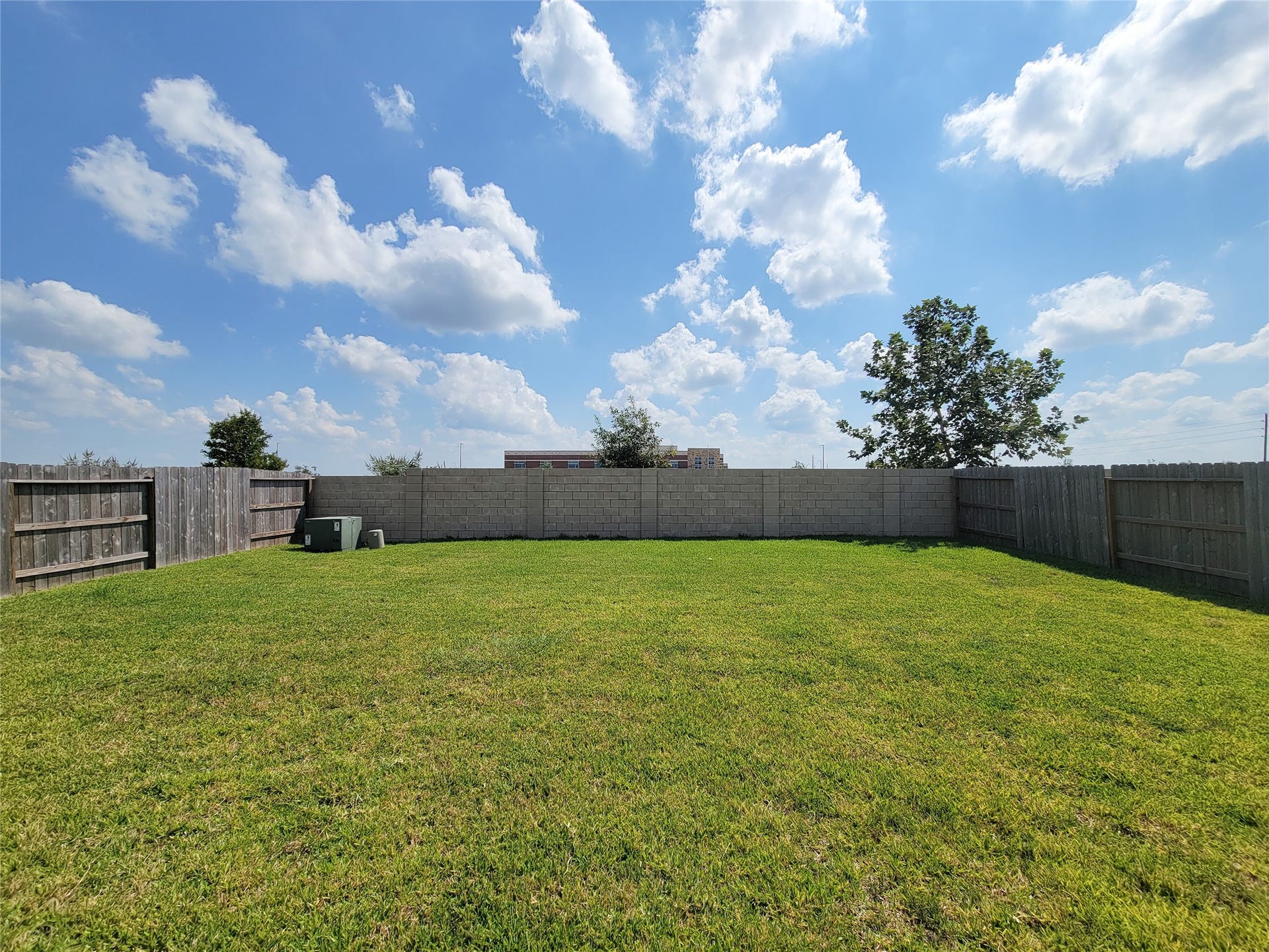 10843 Bodie Hills Drive, Rosharon, TX 77583 Expansive, sunlit backyard with lush green grass and privacy fencing, perfect for outdoor activities and gatherings.