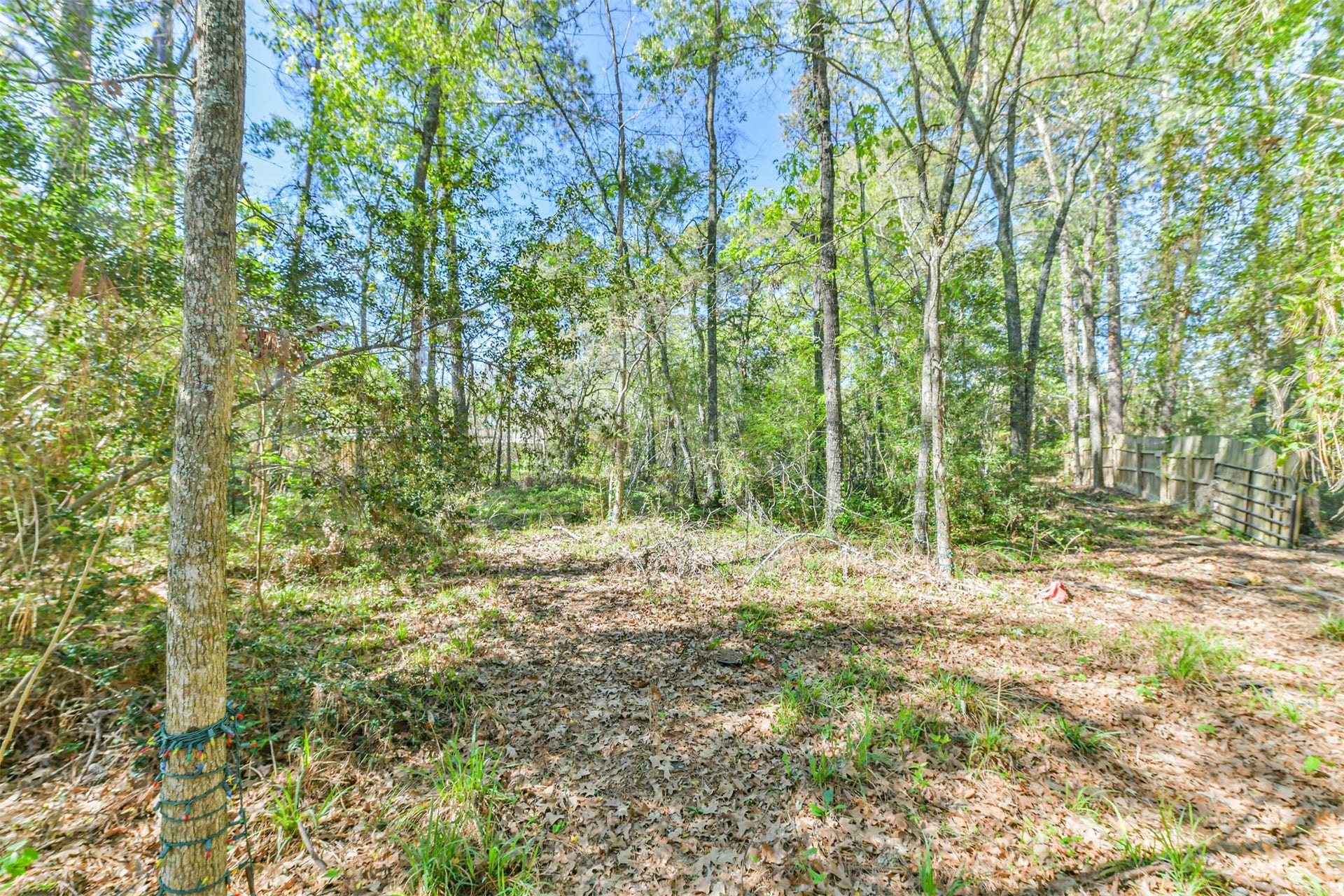 1811 Black Bear Drive, Crosby, TX 77532 1811 Black Bear Drive, Crosby, TX 77532