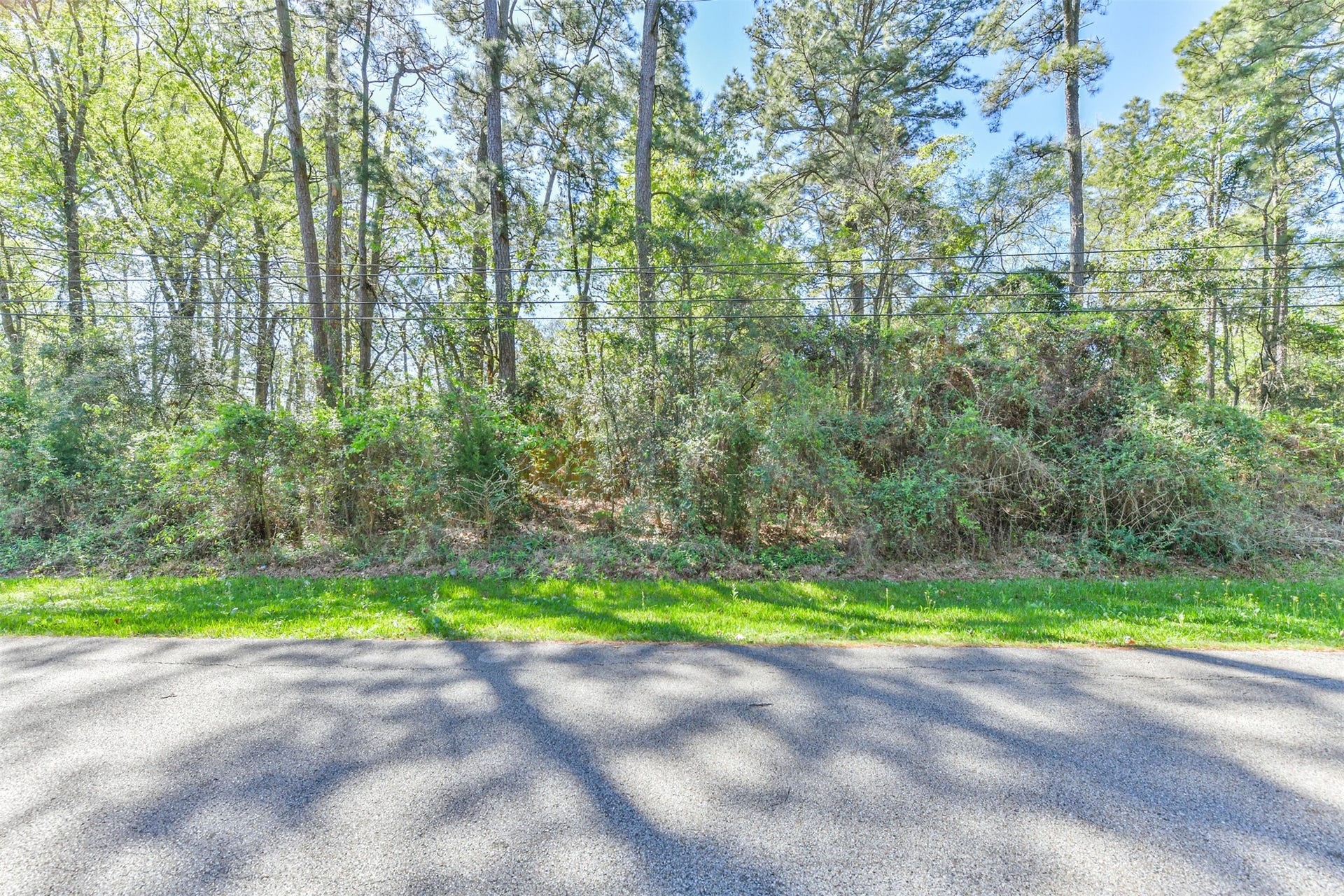 1811 Black Bear Drive, Crosby, TX 77532 1811 Black Bear Drive, Crosby, TX 77532