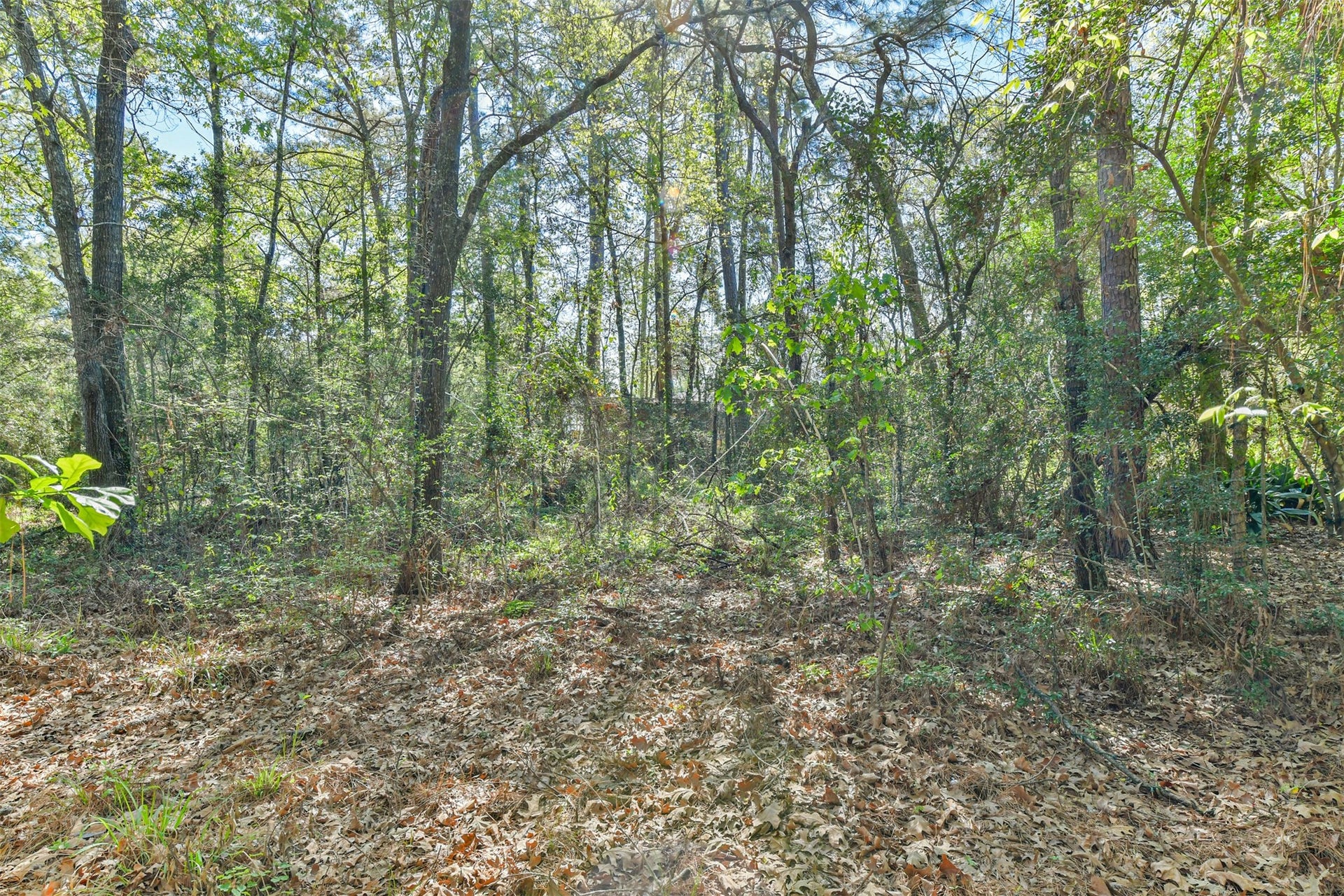 1811 Black Bear Drive, Crosby, TX 77532 1811 Black Bear Drive, Crosby, TX 77532