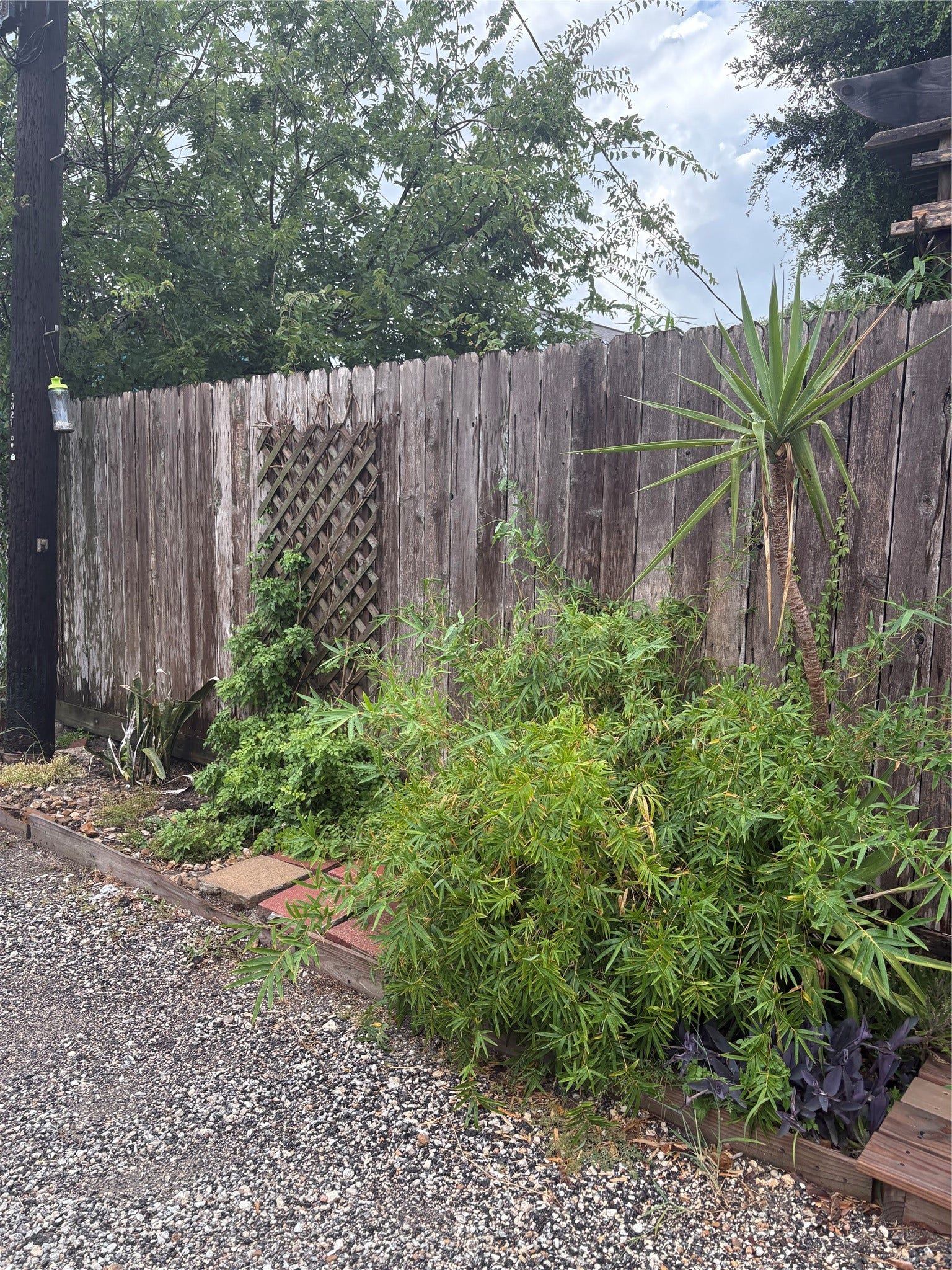 5325 Avenue R 1/2, #B, Galveston, TX 77551