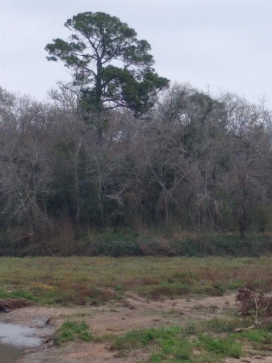 Property photo for 0 Fm 2351 Road, Friendswood, TX