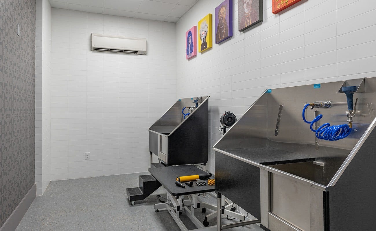 180 Malone Street, #2203, Houston, TX 77007 Dog spa - 2 stations and one drying station