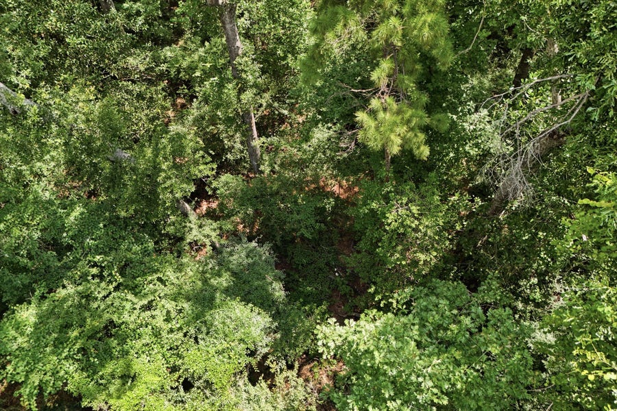 Property photo for TBD Coleman Drive, Splendora, TX