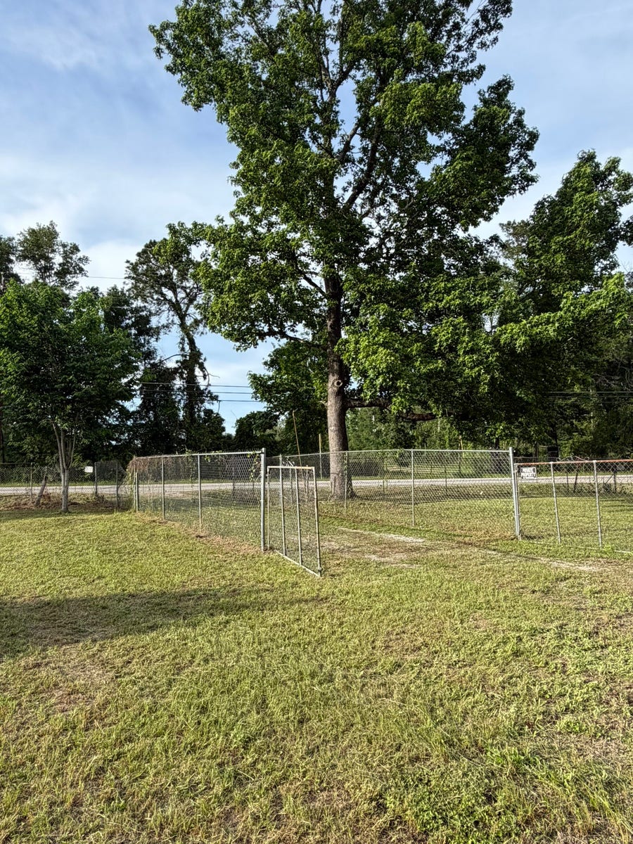 Property photo for 24760 E Fm 1485 Road, New Caney, TX