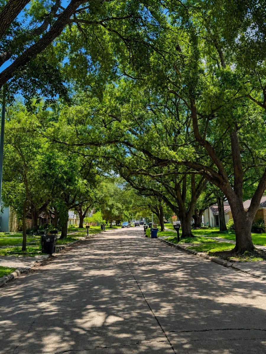 Property photo for 15818 Sandy Hill Drive, Houston, TX