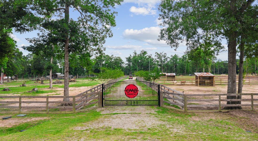 Property photo for 21286 Doru Drive, Cleveland, TX