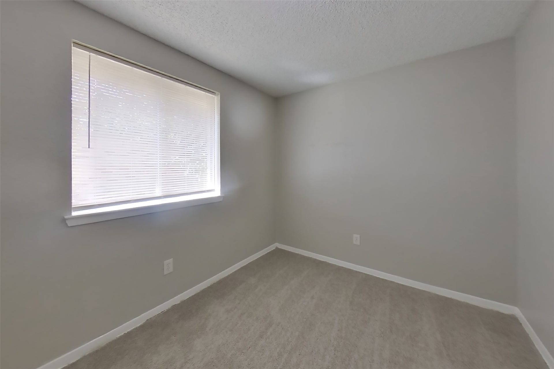15910 Willmore Lane, Missouri City, TX 77489 15910 Willmore Lane, Missouri City, TX 77489