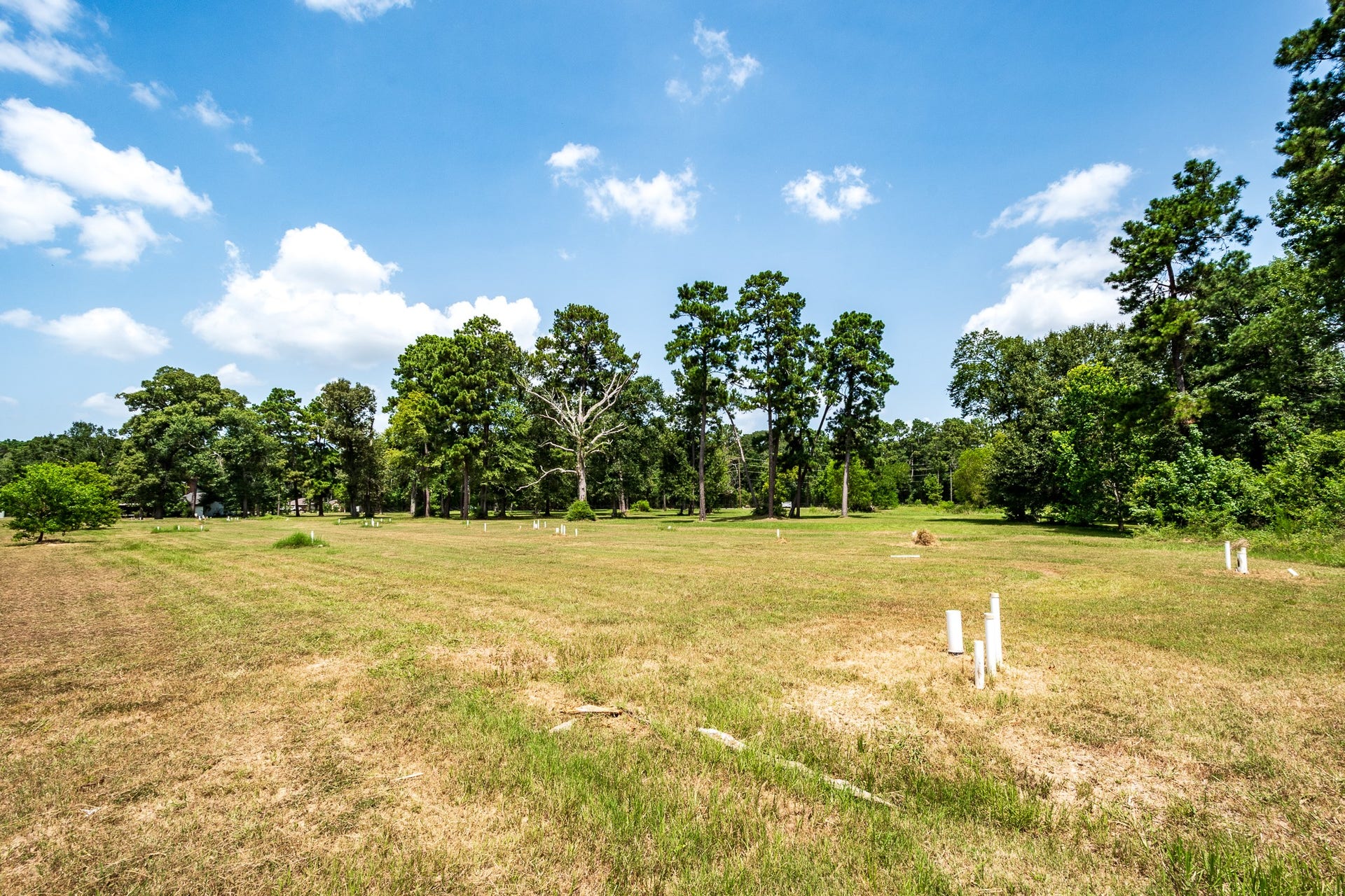 16111 Porter Lane, Porter, TX 77365 Open land with mature trees, perfect for building multiple homes amidst nature's tranquility.