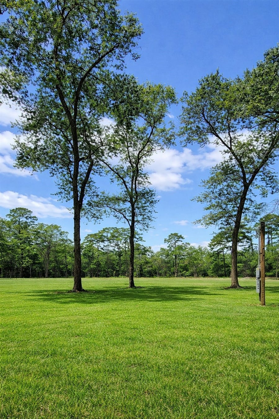 Property photo for 4705 Lauder Road, Houston, TX