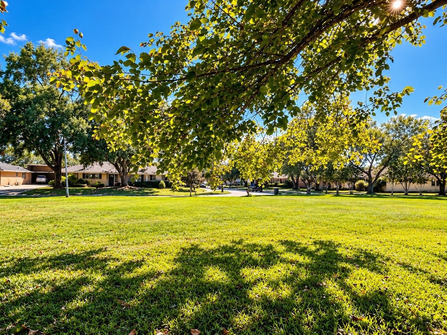 0 Anacortes Street, Houston, TX 77061 Open green space offers possibilities for your future home!