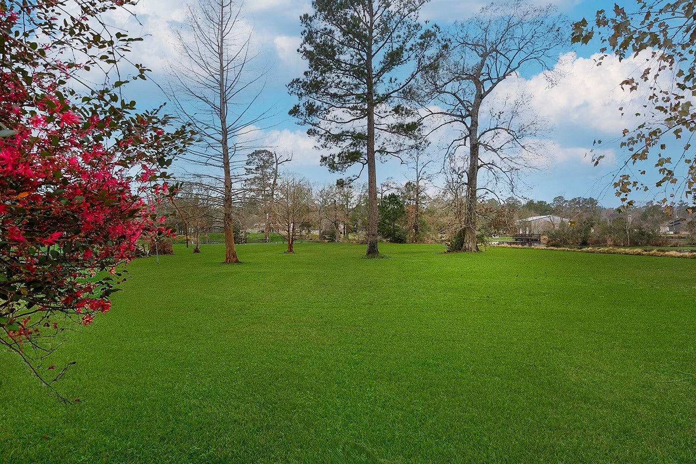 11827 Water Oak Drive, Magnolia, TX 77354 11827 Water Oak Drive, Magnolia, TX 77354