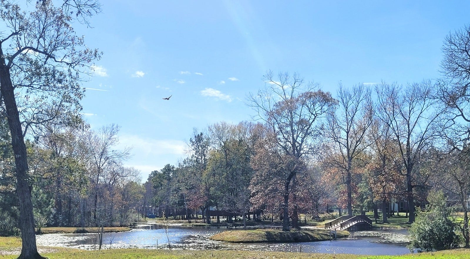 11827 Water Oak Drive, Magnolia, TX 77354 11827 Water Oak Drive, Magnolia, TX 77354