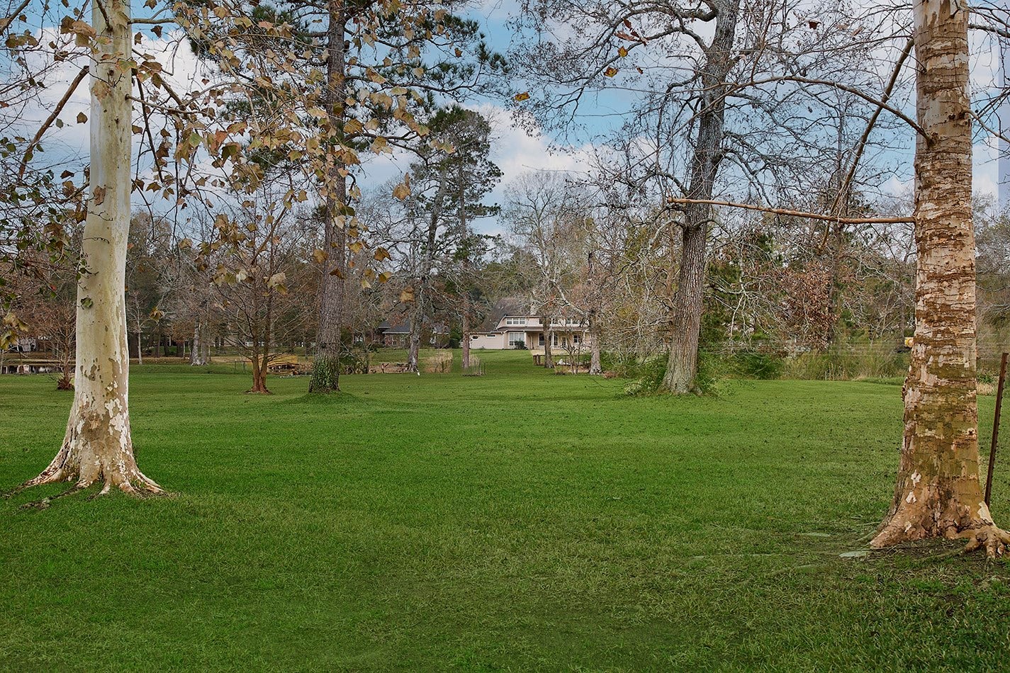 11827 Water Oak Drive, Magnolia, TX 77354 11827 Water Oak Drive, Magnolia, TX 77354