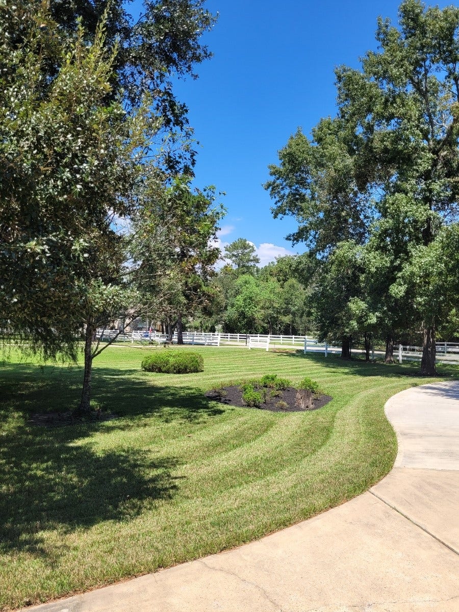 11827 Water Oak Drive, Magnolia, TX 77354 11827 Water Oak Drive, Magnolia, TX 77354