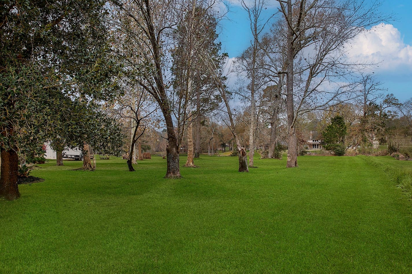 11827 Water Oak Drive, Magnolia, TX 77354 11827 Water Oak Drive, Magnolia, TX 77354