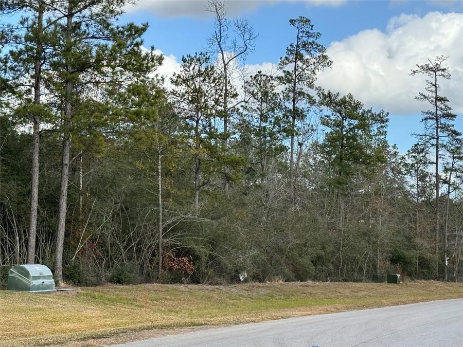 Property photo for 10693 Ruger Road, Willis, TX