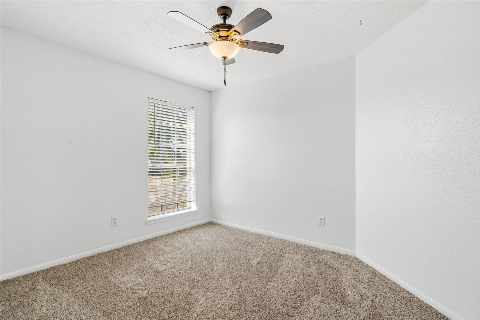 1107 Elmgrove Park Lane, Seabrook, TX 77586 secondary bedroom with ceiling fan