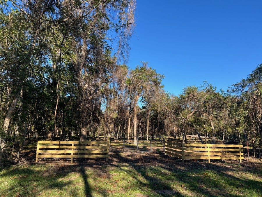 Property photo for 519 County Road 849, Brazoria, TX