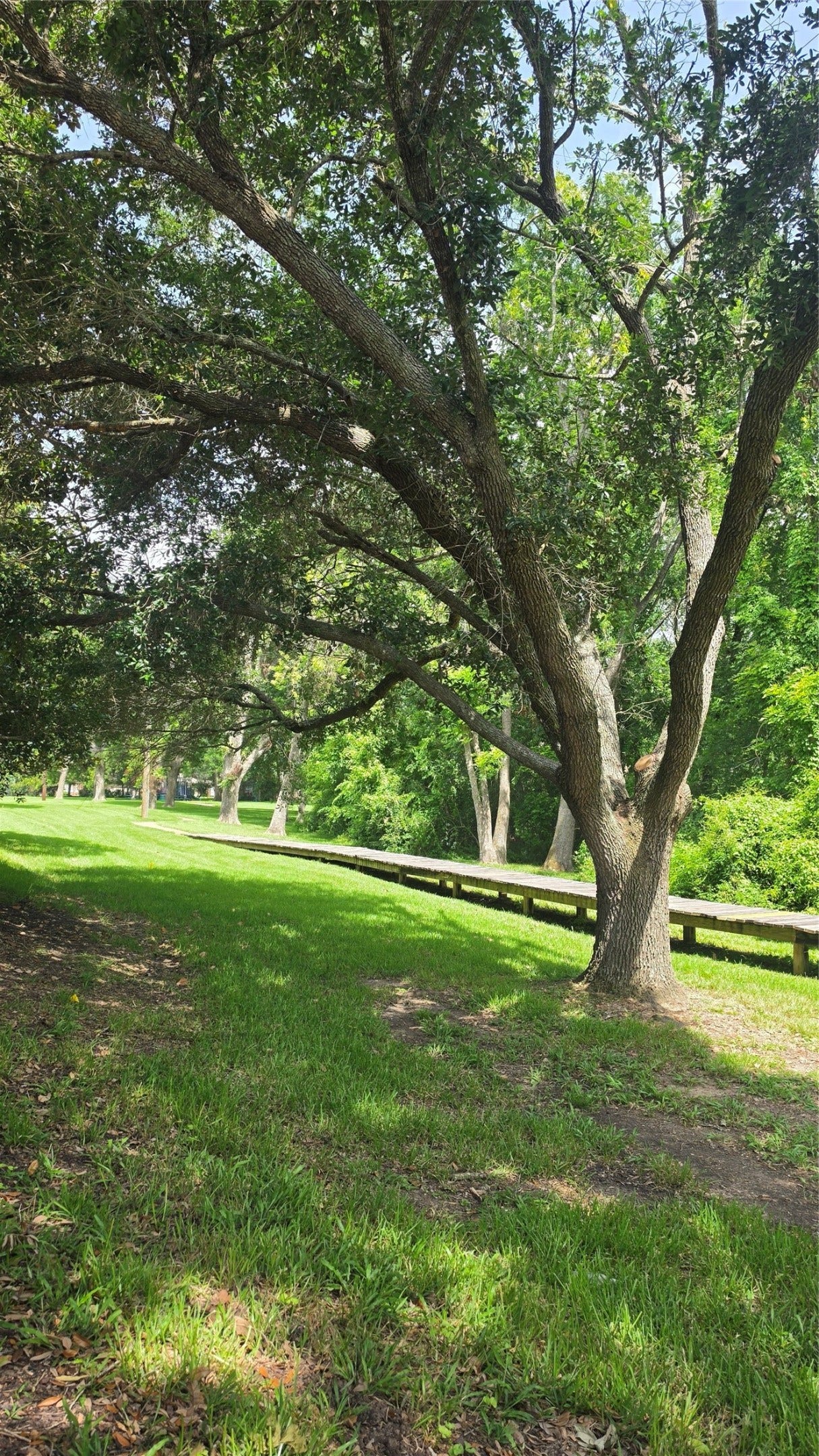4519 Castlewood Street, Sugar Land, TX 77479 The home Backs to a beautiful, peaceful greenbelt; a gorgeous park with a playground and walking trails. Walking distance to Commonwealh