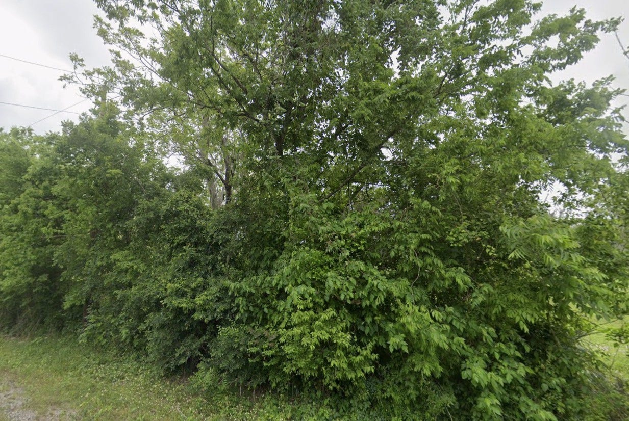 2941 - 13 County Road 352 Road, Brazoria, TX 77422 2941 - 13 County Road 352 Road, Brazoria, TX 77422