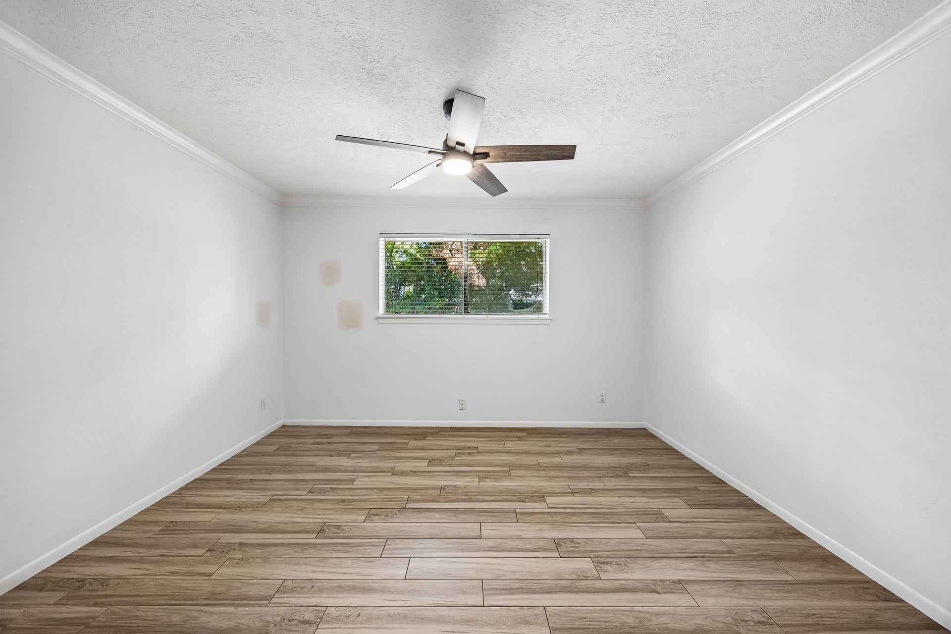 4406 Goldfinch Street, Houston, TX 77035