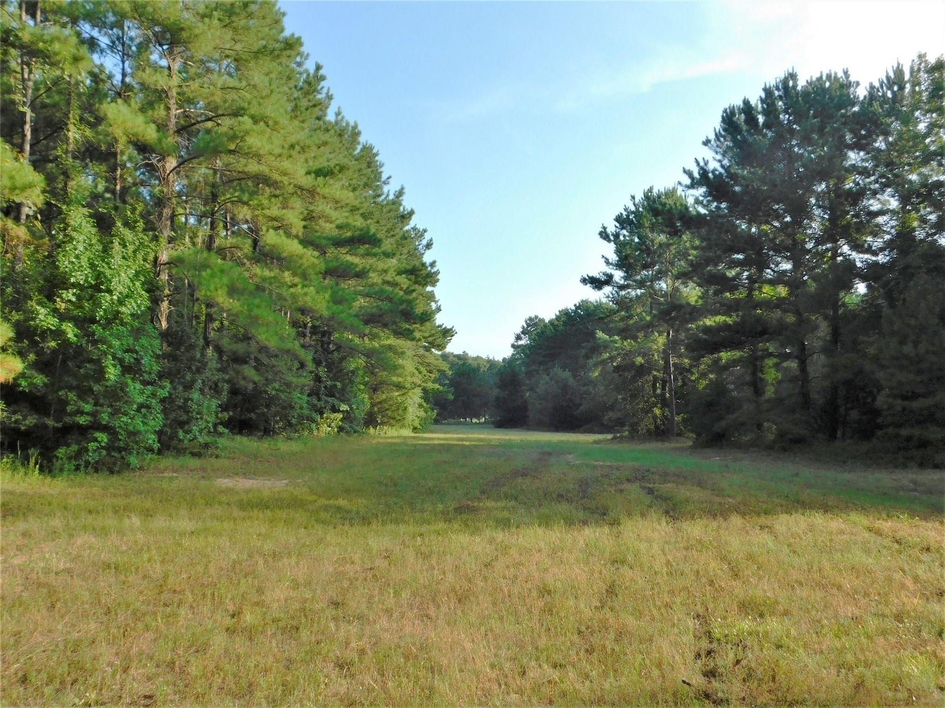 11914 Browder Traylor Road, Conroe, TX 77303 11914 Browder Traylor Road, Conroe, TX 77303