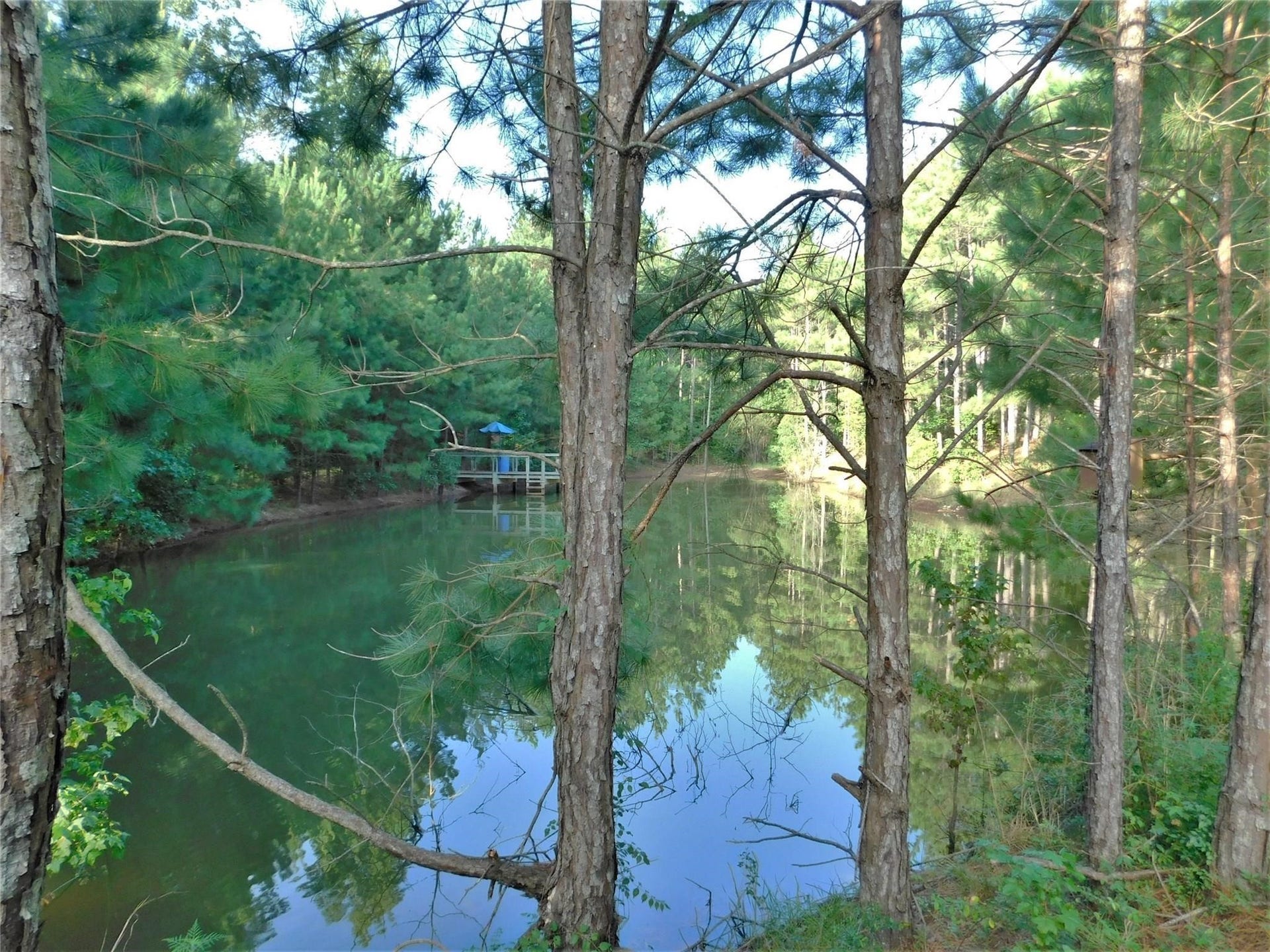 11914 Browder Traylor Road, Conroe, TX 77303 11914 Browder Traylor Road, Conroe, TX 77303
