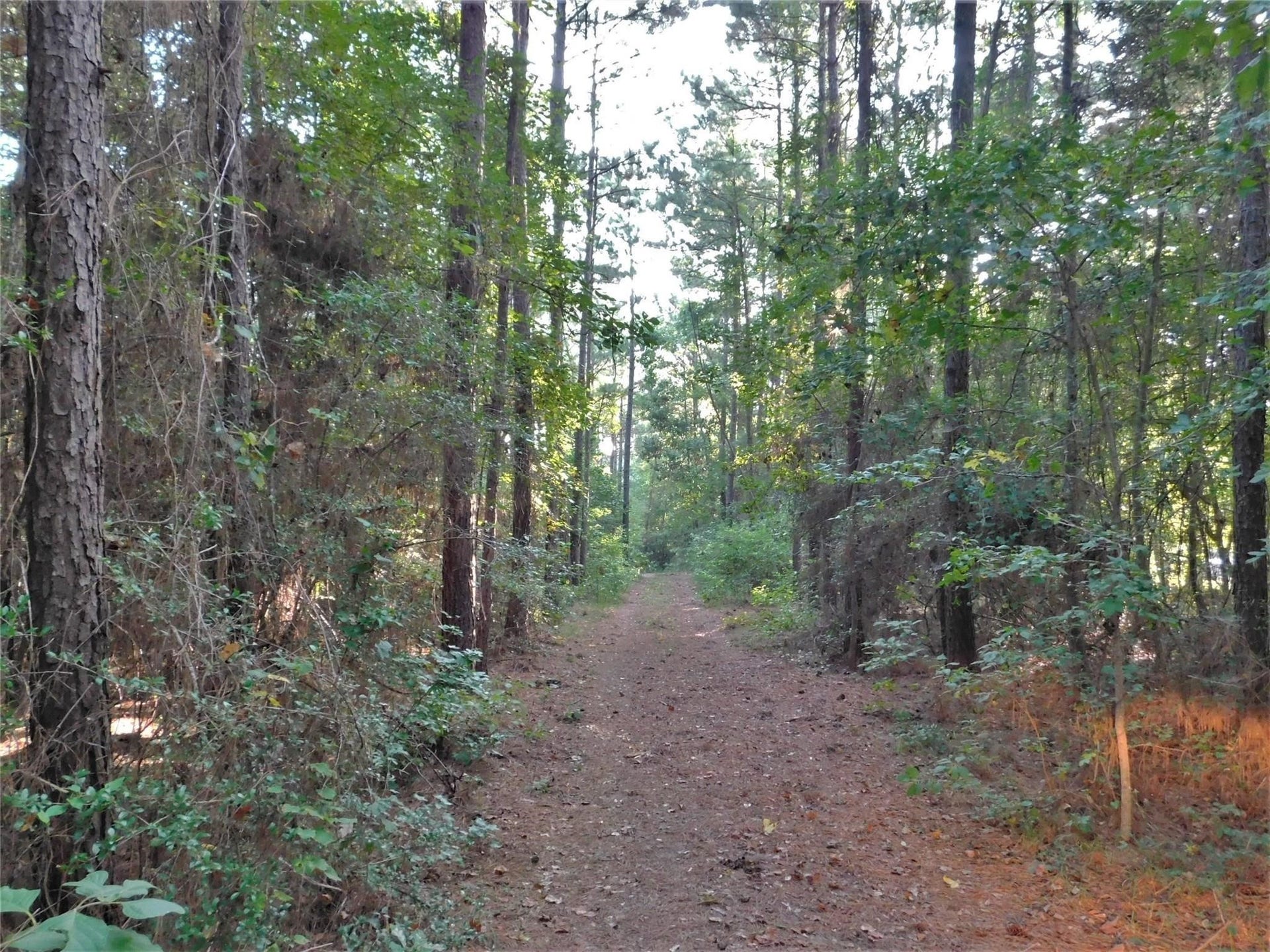 11914 Browder Traylor Road, Conroe, TX 77303 11914 Browder Traylor Road, Conroe, TX 77303