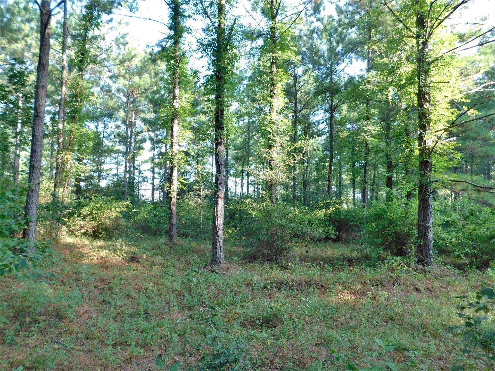 11914 Browder Traylor Road, Conroe, TX 77303 11914 Browder Traylor Road, Conroe, TX 77303