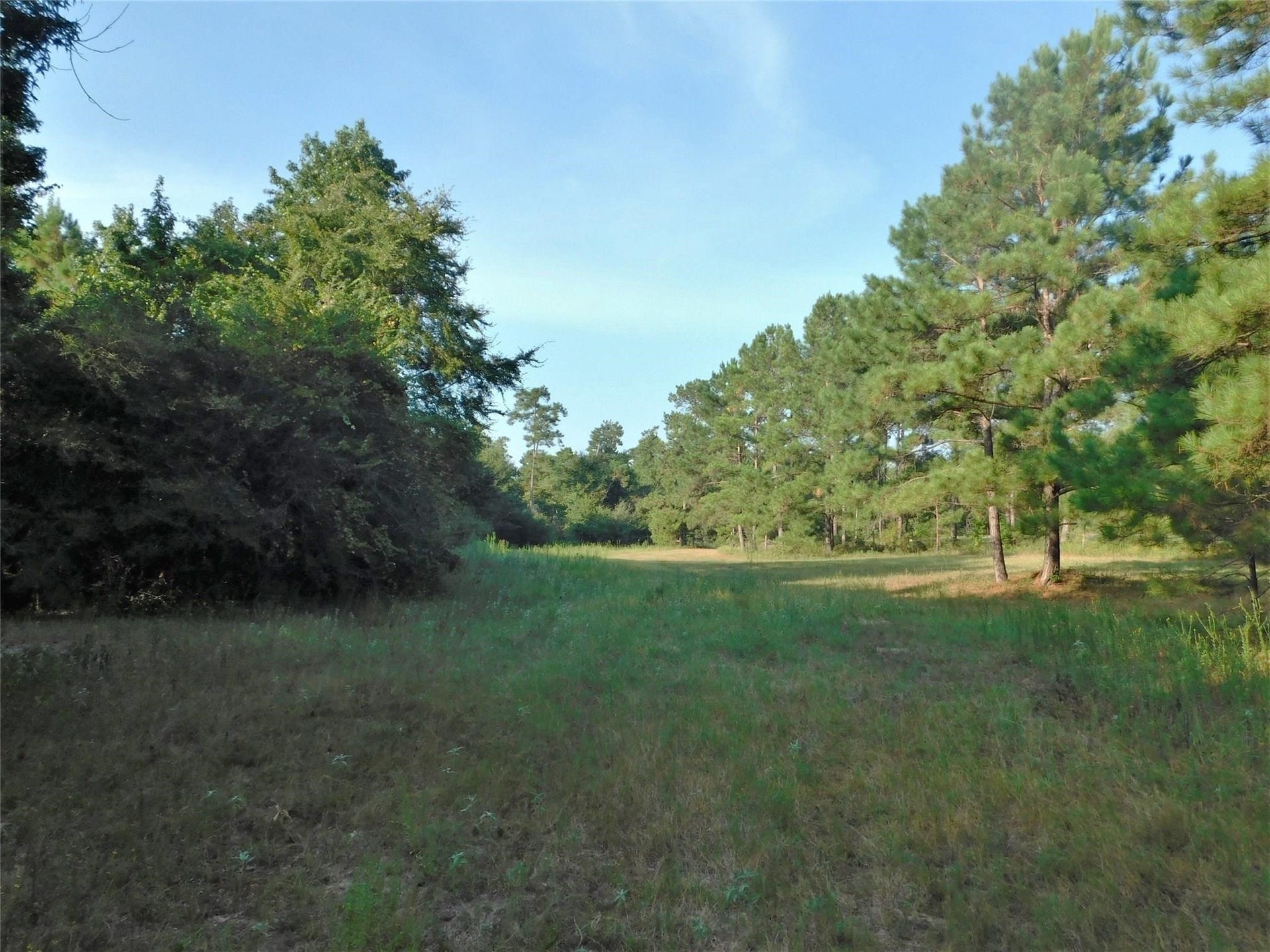 11914 Browder Traylor Road, Conroe, TX 77303 11914 Browder Traylor Road, Conroe, TX 77303